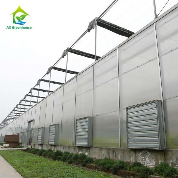 Quality OEM Flowers Polycarbonate Sheet Greenhouse Transparent Tropical Fruit Greenhouse for sale