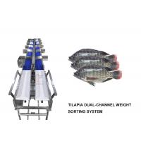 China Dual Channel Tilapia Weight Sorting Machine 6 Level factory