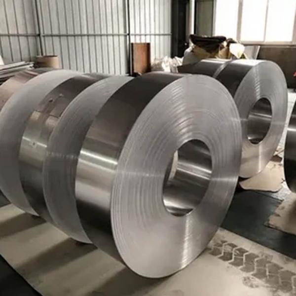 Stainless Steel 317/317L Strips