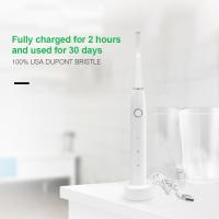 China SCCP Rechargeable Electric Sonic Toothbrush Ultralight IPX7 Waterproof factory