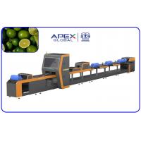 China 380V / 50Hz Automatic Lemon Sorting Machine With PLC Control System factory