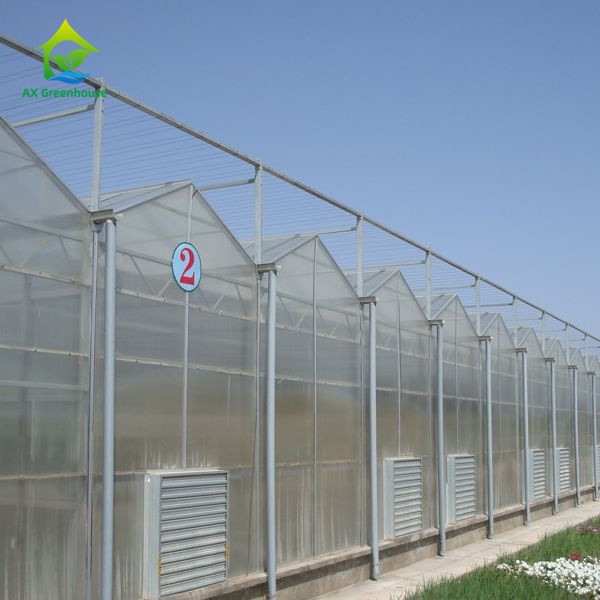 Quality Multispan PC Sheet Greenhouse for sale