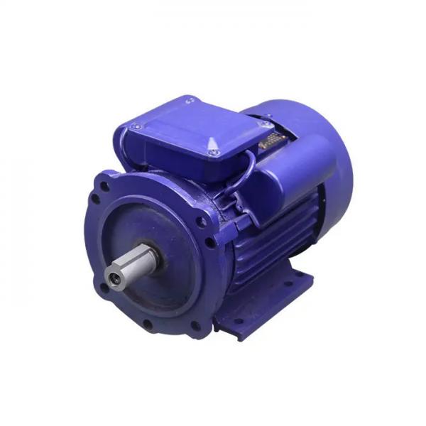 Quality Single Phase Ac Induction Motor 5 Hp 3 Hp for sale