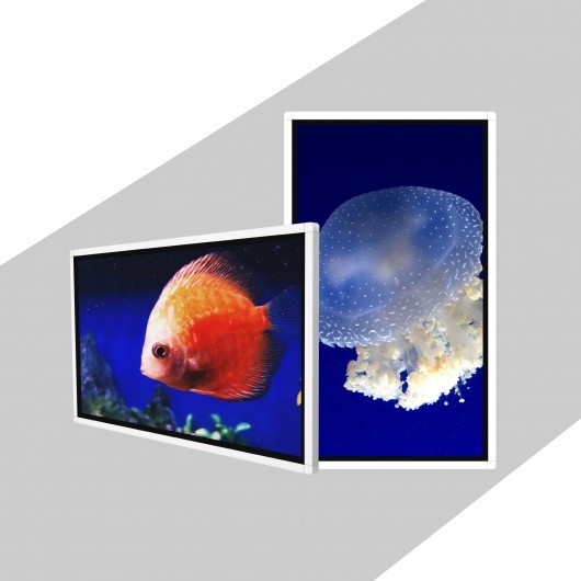 Quality TFT 49 Inch Wall Mount Digital Signage Wall Mounted Digital Advertising Screen for sale