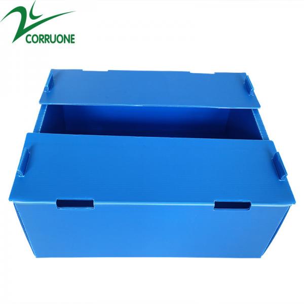 Quality Corruone Hot Sale Customized waterproof foldable PP polypropylene sheet Material Vegetable Fruit Packaging and delivery Boxes for sale