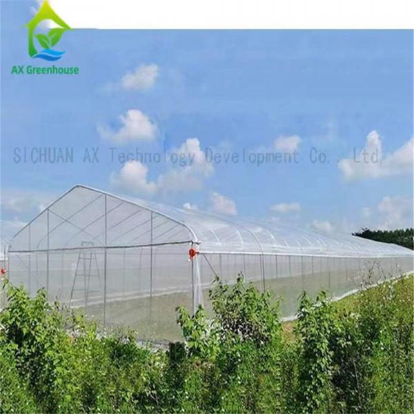 Quality OEM Aluminium Double Layer Poly Tunnel Greenhouse Onion Farming for sale