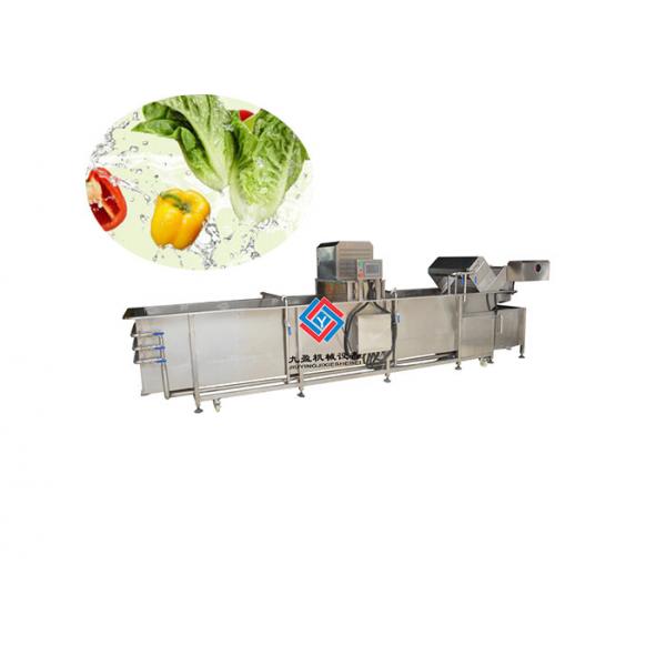 Quality 1000 KG Fruit And Vegetable Cleaner Machine , Garlic Lettuce Herb Washing Machine for sale