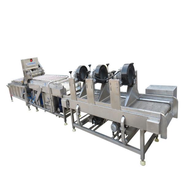 Quality Fully Automatic Fruit And Vegetable Processing Machinery 300-1000kg/h for sale