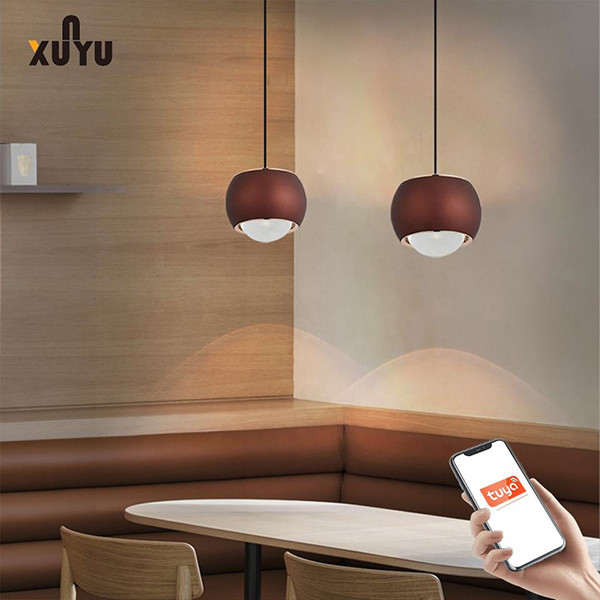 Quality XUNYU LED Pendant Light 8W 6000K Sphere Pendant Light Fixtures for sale