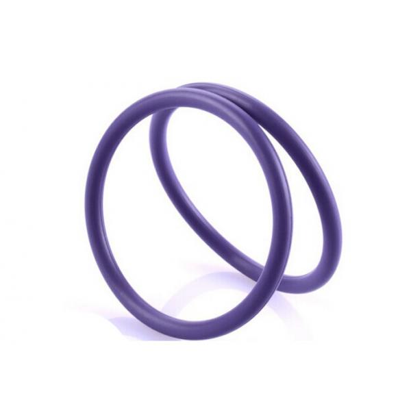 Quality FDA Colored Silicone O Rings Encapsulated , Industrial O Rings High Flexibility for sale