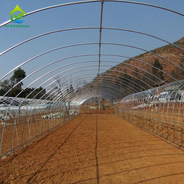 Quality 10-100m Length Broccoli Polytunnel Foil Greenhouse With Metal Frame for sale