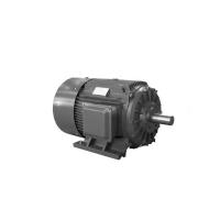 Quality Single Phase Induction Motor And Three Phase Induction Motor Ac 0.75Kw 1HP 3hp for sale