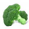 China broccoli powder supplement,broccoli sprout extract cancer,broccoli sprouts sulforaphane factory