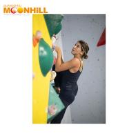 Quality Amusement Adult Rock Indoor Climbing Wall Steel Wooden Resin ISO9001 ISO14001 for sale