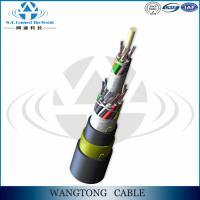 China ADSS Aerial self-supporting single mode 12 Core Single Mode Fibre Optic Cable made in china for Power Transmission Line factory