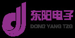 China Dongyang Tzg magnet Co.,Ltd. logo