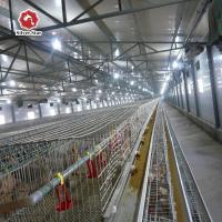 China Baby Chick Wire Bird Breeding Cages Automatic Farming Broiler Cage Chicken Raising factory