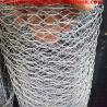 China 1 inch wire mesh fencing/how much is a roll of chicken wire/galvanized hexagonal wire/coop chicken wire/free chicken wir factory