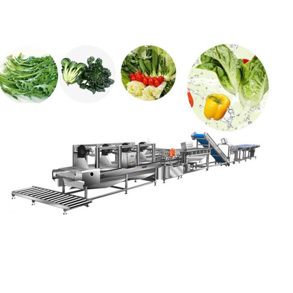 Quality Auto Salad Production Line Washing Cleaning Frozen Vegetable Bubble Washer for sale