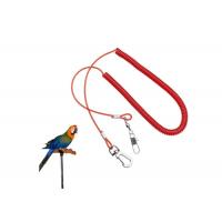 China Plastic Red Wire Coil Lanyard Parrot Fly Training Security With Snap Hook / Pin factory