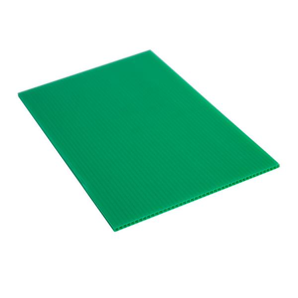 Quality Bio PP Corrugated Sheet Recyclable Polypropylene Hollow Board for sale