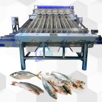 China High Speed Live Fish Roller Grader With 12pcs Live Fish Roller Sorting Line factory