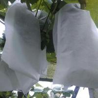China Anti UV Fruit Tree Protection Bags , Spunbond Nonwoven Bags To Cover Fruit On Trees factory