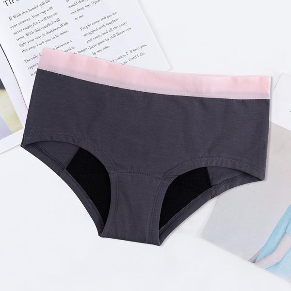 Quality 6x 3x Teen Period Underwear 9 Year Old Leak Proof 4 Layer Absorbent Cotton for sale