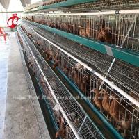 Quality Electric Galvanized Layer Poultry Farm Cage Anti Rust Layer Battery Cages Emily for sale