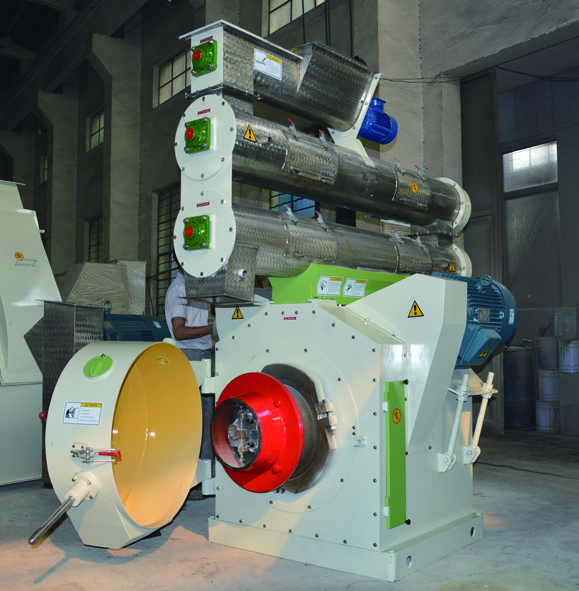 Quality Ringdie Belt Driven Pellet Mill Pellet Manufacturing Machine Poultry Feed Lines for sale