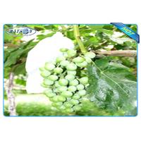 China OEM Disposable Nonwoven Fruit Protection Bag For Grape Size 20 cm 22cm for sale