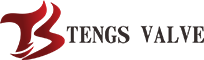China Tengs Valve International Limited logo