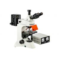 China Camera Infinity Epi Led Fluorescent Microscope WF10X Eyepiece Genetics Research factory