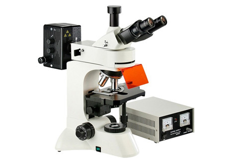 Quality Camera Infinity Epi Led Fluorescent Microscope WF10X Eyepiece Genetics Research for sale