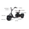 China 3 Wheel Electric Trike Mobility Scooter Bike Fat Tire Street Legal factory