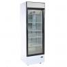China 410L Single Glass Door Display Commercial Coco Cola Pepsi Refrigerator for convenience stores SC410B factory
