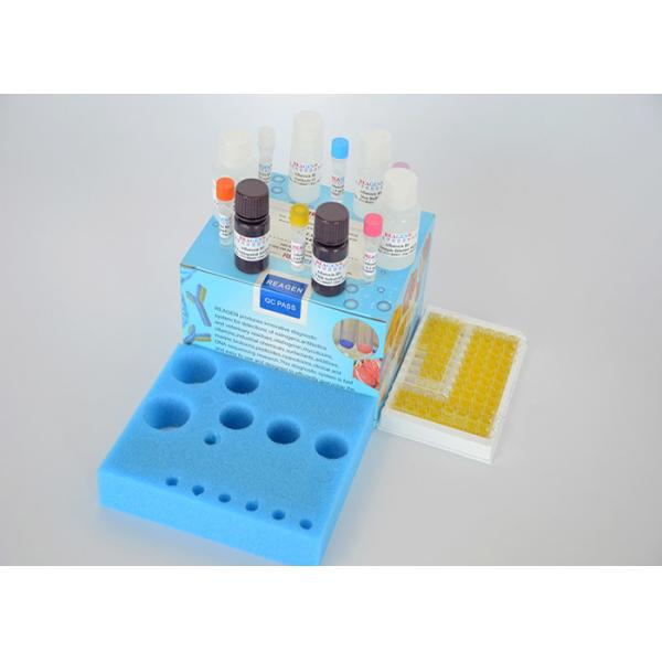 Quality High Reproducibility Veterinary Residue Test Kit Streptomycin ELISA Test Kit for sale