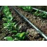 China 0.9mm Thickness Greenhouse Irrigation Products Vegetables Irrigation Drip Line factory