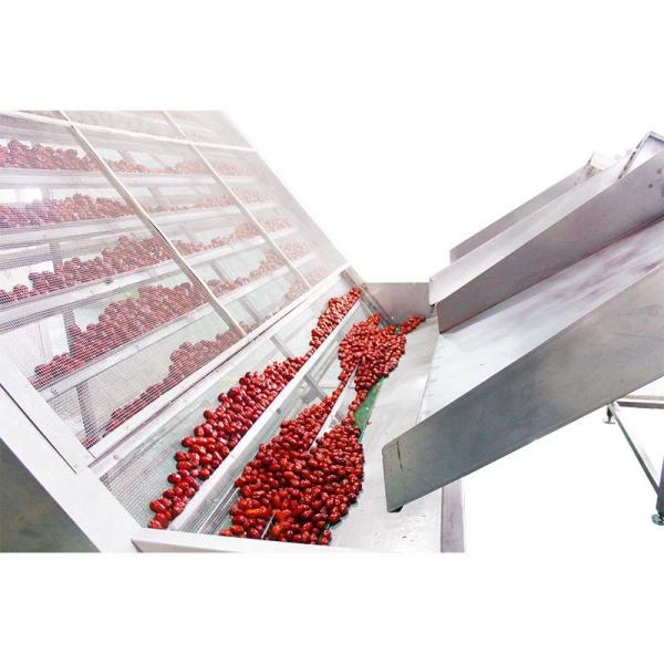 Quality 6 To 20t/ H Mesh Belt Drying Equipment Anti Oxidation for sale