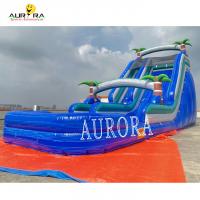 China Blue Dual Lane Inflatable Water Slide PVC Kids Backyard Inflatable Slide factory