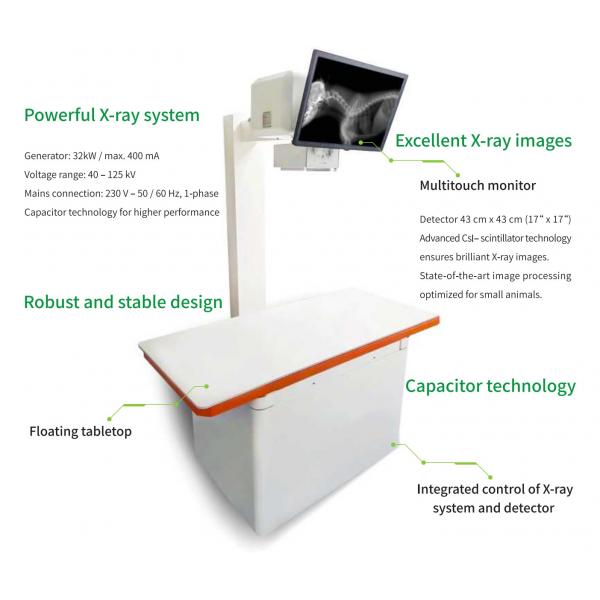 Quality 32KW Vet Medical Equipment Real Time Fluoroscopy Machine DR for sale