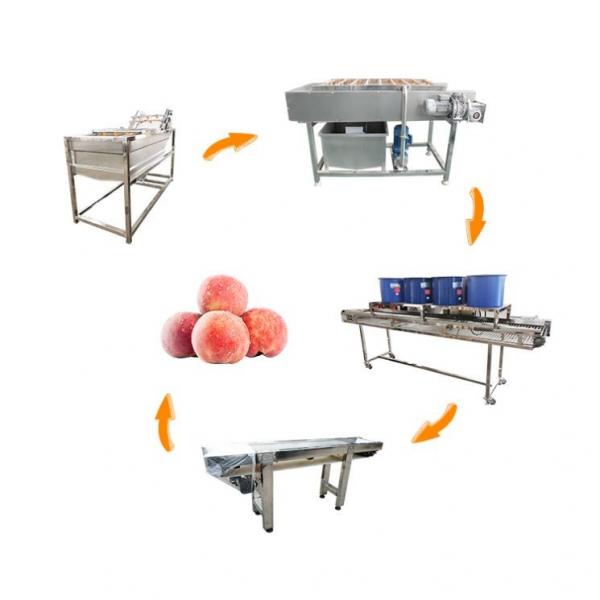 Quality Hot selling Industrial Fruit Washing Machine With A Cheap Price by Huafood for sale