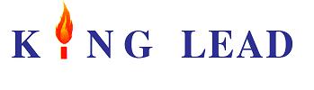 China SHIJIAZHUANG KING LEAD I/E CO. LTD logo