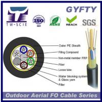 China 2-144 Cores Glass Yarn Armored Fiber Optic Cable , GYFTY-FS Fiber Optic Network Cable factory