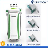 China Multifunctional Beauty Equipment Kryolipolyse Cool Tech Slimming Machine Cryolipolysis Fat Freezing Equipment factory