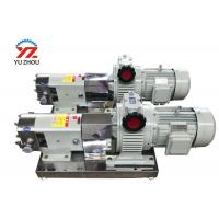 China Rotary Positive Displacement Pumps With Stepless Speed Regulating Motor Reducer factory