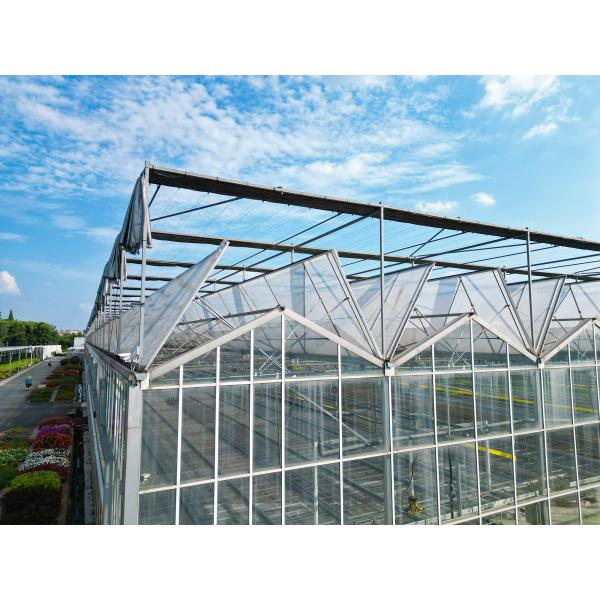 Quality Multi Span Large Glass Greenhouse Kit Span Width 9.6m 10.8m 12m for sale