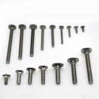 China Stainless steel carriage screws customized factory