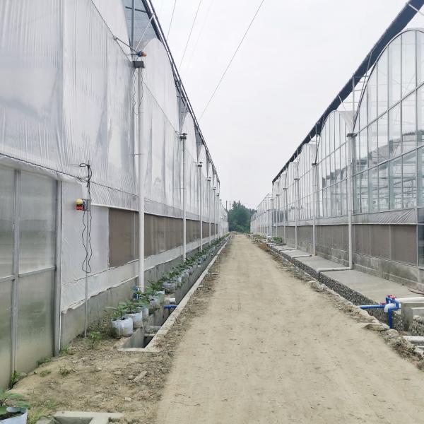 Quality Hydroponic Growing Systems Greenhouse Low Cost Greenhouse Agriculture Plastic for sale