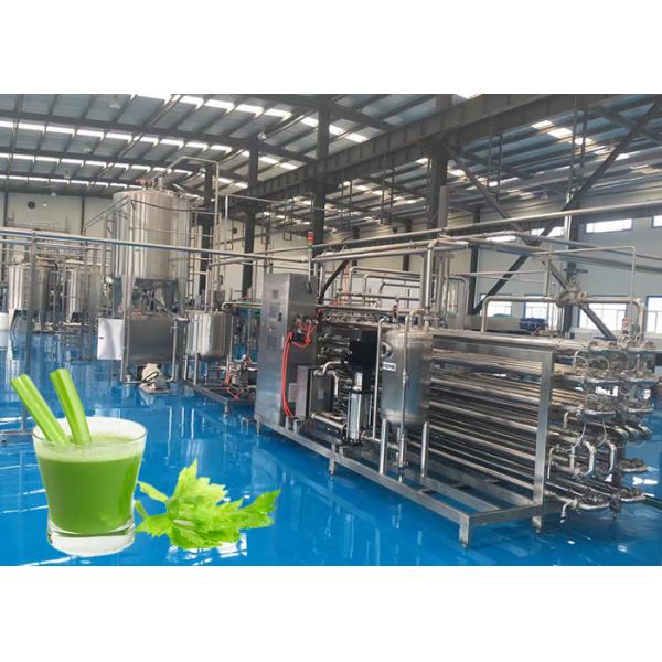 Quality High Efficiency Celery Vegetable Processing Equipment Programmable Control for sale